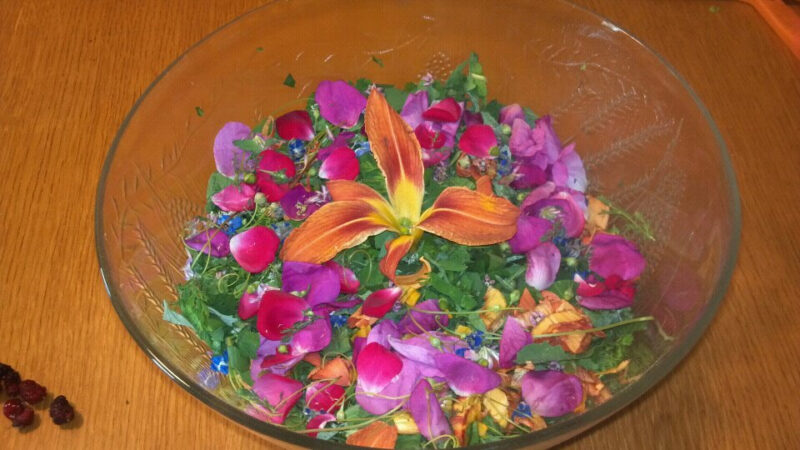 Herbal Nourishing Salad Dressing